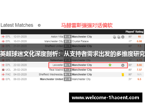 英超球迷文化深度剖析:从支持者需求出发的多维度研究 英超球迷文化深度剖析:从支持者需求出发的多维度研究